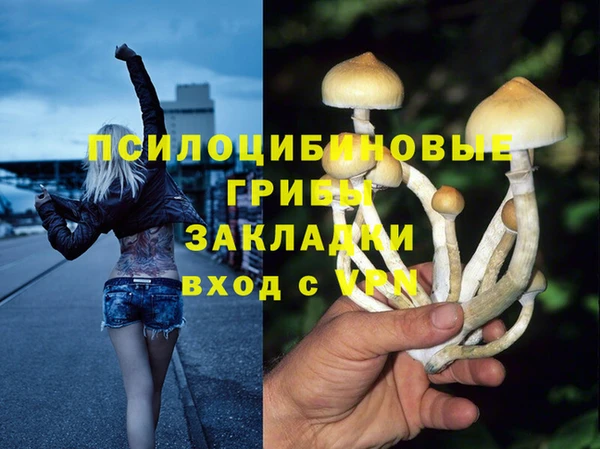 СК Осташков