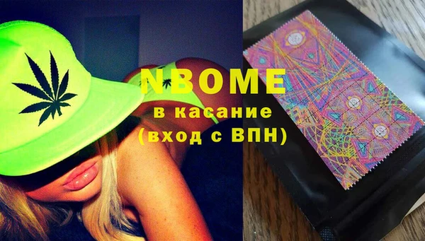 прущие грибы Ахтубинск