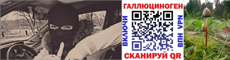 Псилоцибиновые грибы Cubensis  Монино 